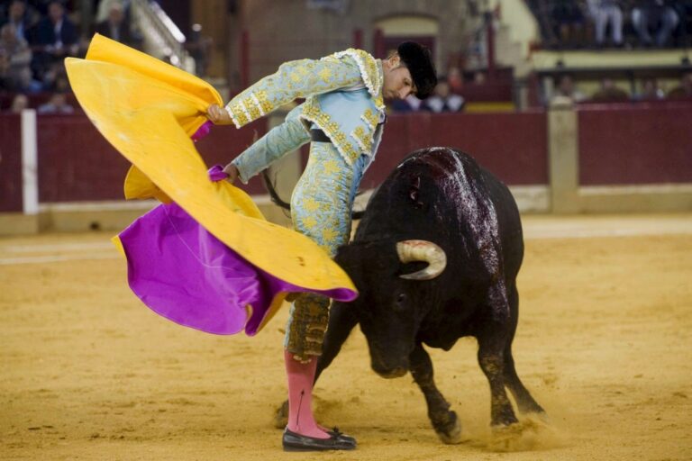 https://nomadicglobe.com/wp-content/uploads/2024/03/Bullfight-768x512.jpg