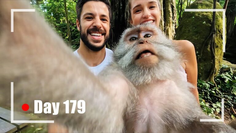 https://nomadicglobe.com/wp-content/uploads/2024/03/Monkey-Selfie-768x432.jpg