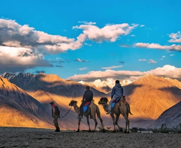 https://nomadicglobe.com/wp-content/uploads/2024/04/Camel-Safari-in-Nubra-Valley-Ladakh-1024x837-1-768x628.webp