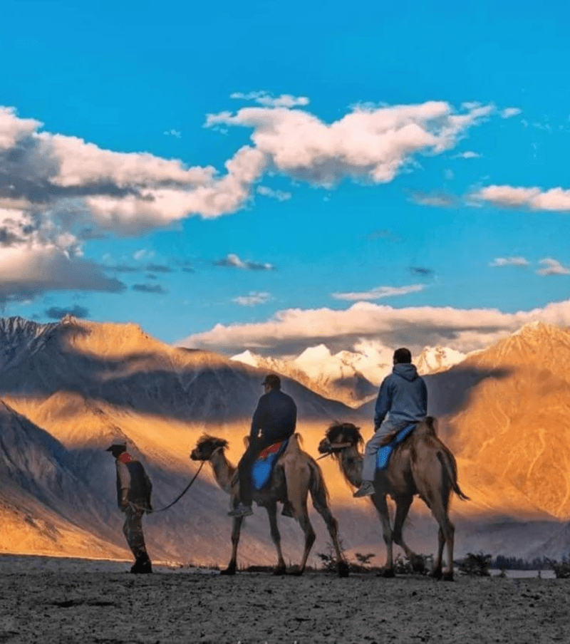 Magical Leh